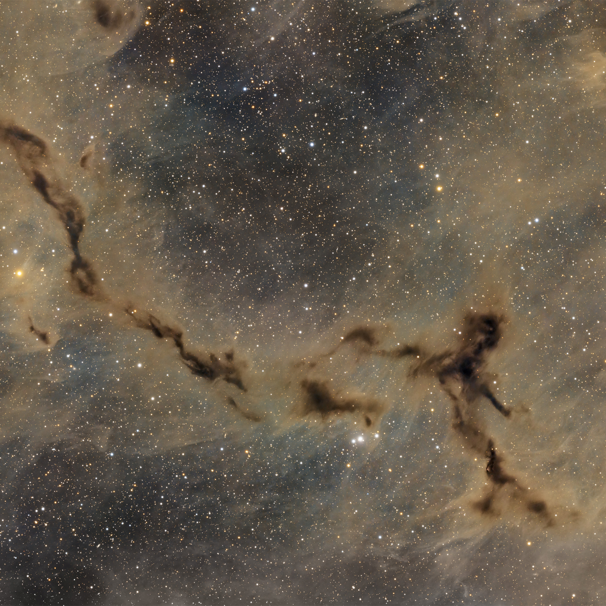 Das dunkle Seepferdchen im Cepheus – LDN 1082 (Barnard 150)