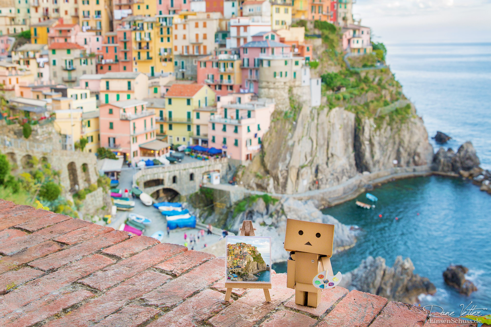 Danbo 2