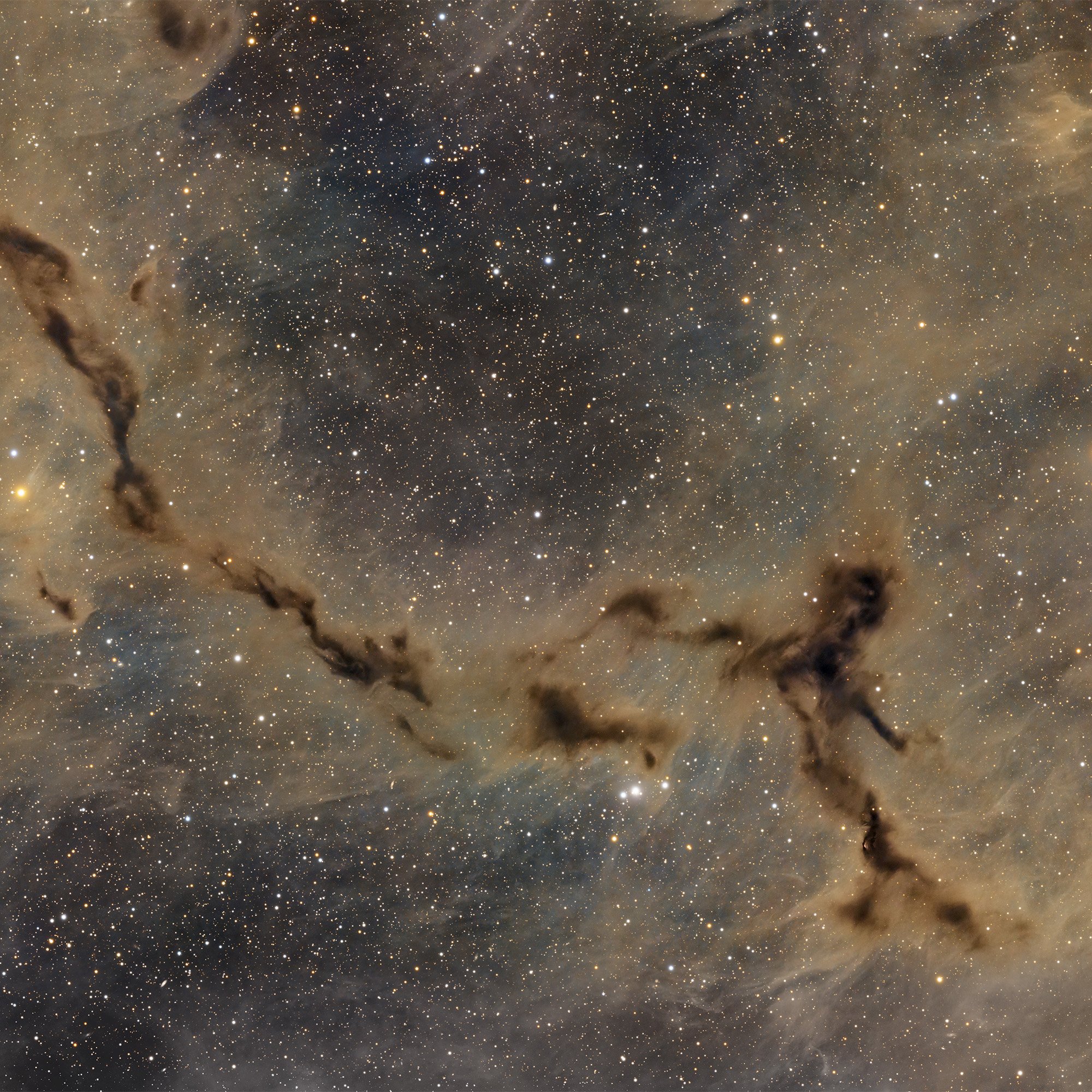 Das dunkle Seepferdchen im Cepheus – LDN 1082 (Barnard 150)